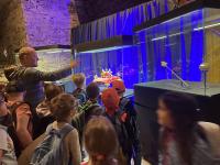 Edukační výlet na hrad Kašperk  - výstava replik českých korunovačních klenotů